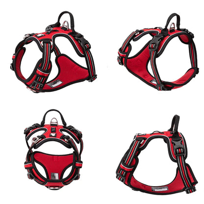 SnoopDoggyDog's Classic Harness