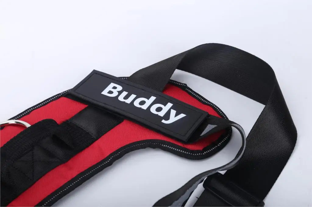 SnoopDoggyDog's Personalized Dog Harness