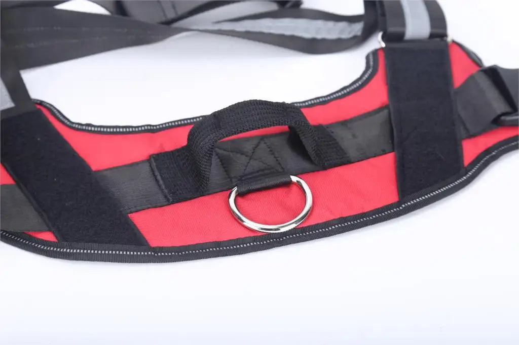 SnoopDoggyDog's Personalized Dog Harness