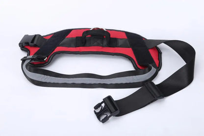 SnoopDoggyDog's Personalized Dog Harness