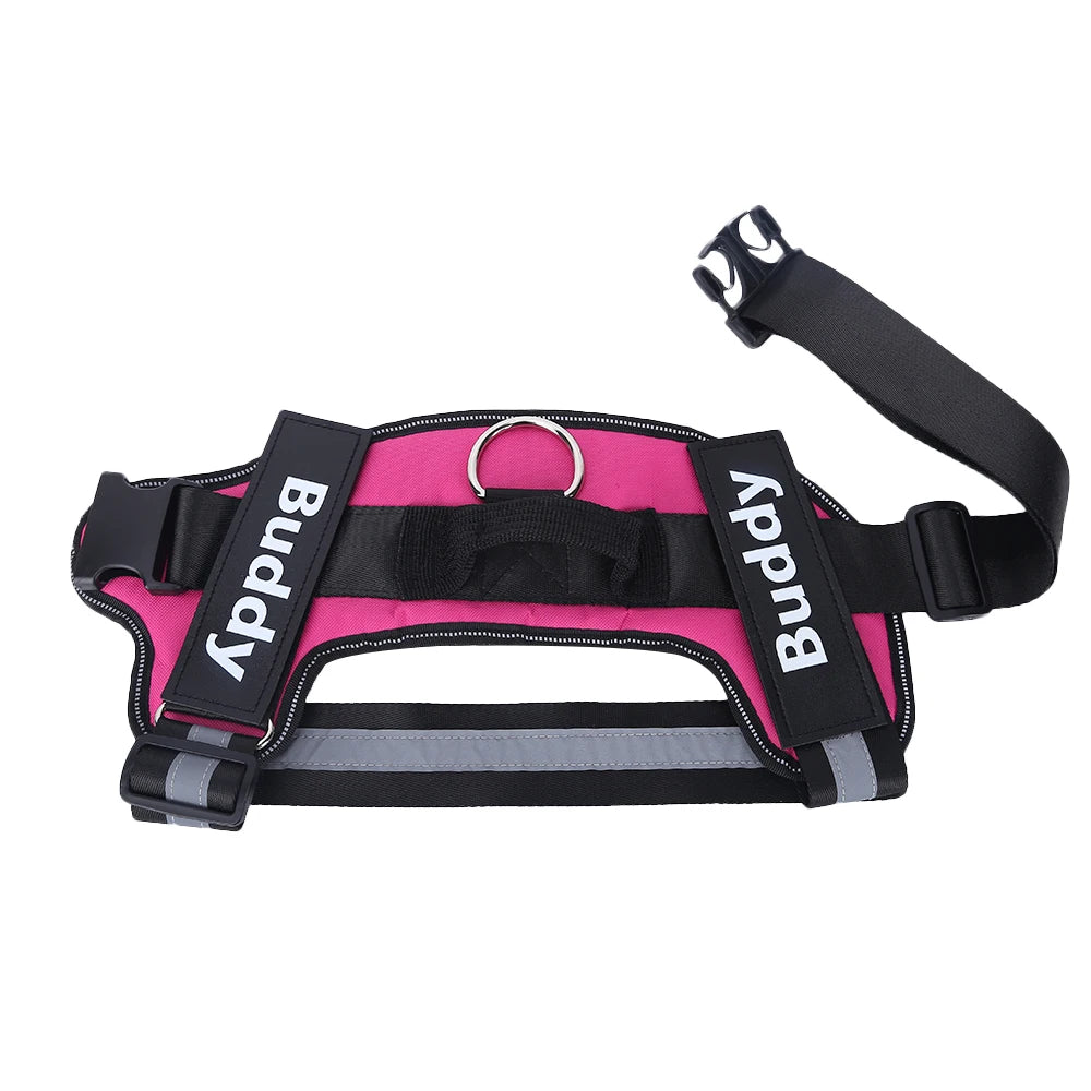 SnoopDoggyDog's Personalized Dog Harness