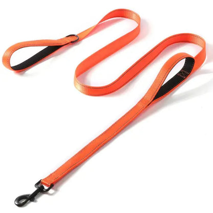 SnoopDoggyDog's Heavy Duty Reflective Dog Leash with Padded Double Handle