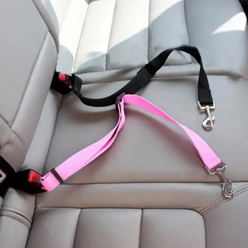 SnoopDoggyDog's Safety Seat Belt