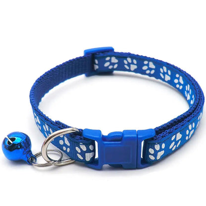 SnoopDoggyDog's Color Collar