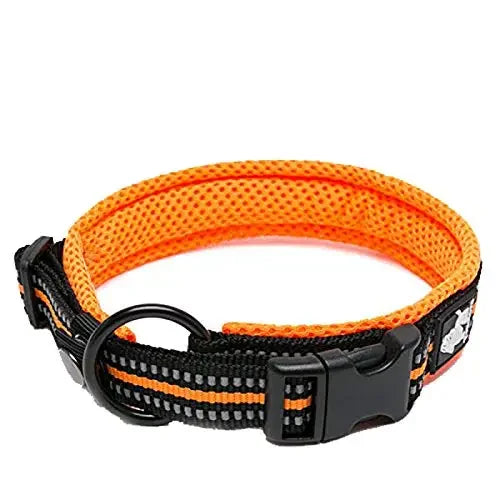 SnoopDoggyDog's Classic Collar