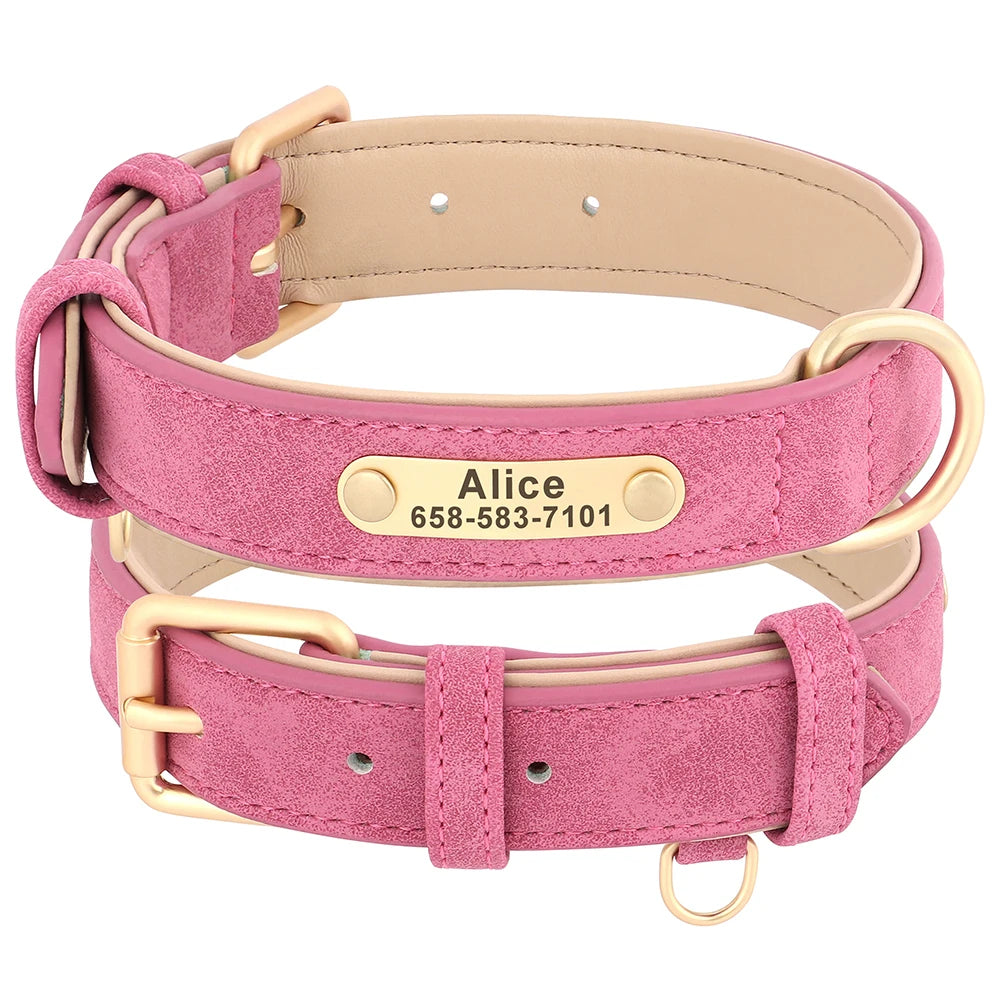 SnoopDoggyDog's Personalized Collar