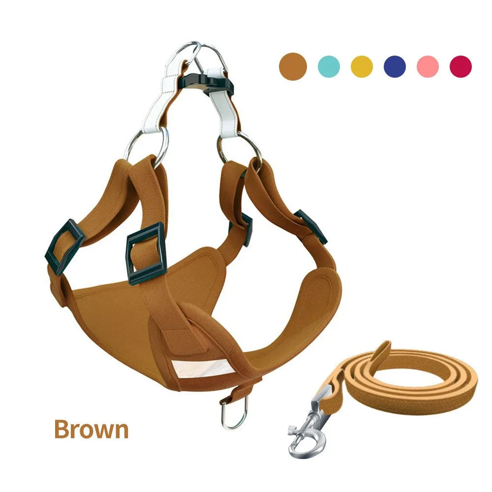 SnoopDoggyDog's Color Harness