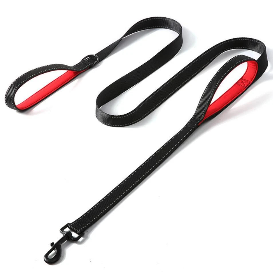 SnoopDoggyDog's Heavy Duty Reflective Dog Leash with Padded Double Handle