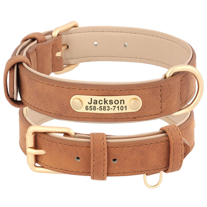 SnoopDoggyDog's Personalized Collar