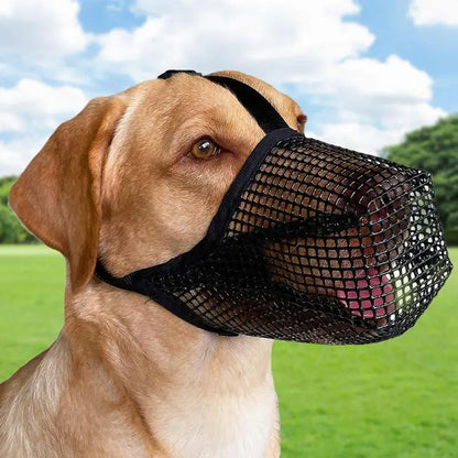 SnoopDoggyDog's Breathable Nylon Muzzle