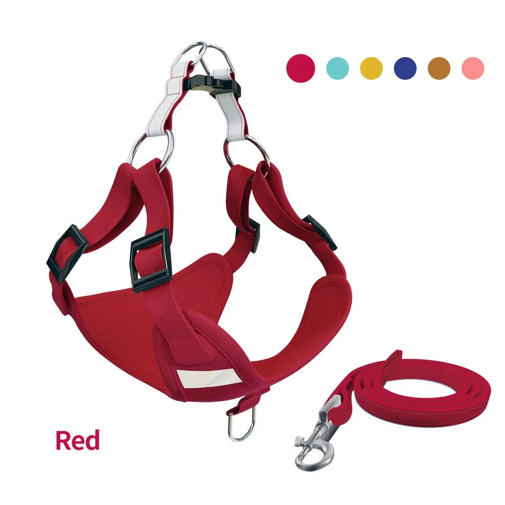 SnoopDoggyDog's Color Harness