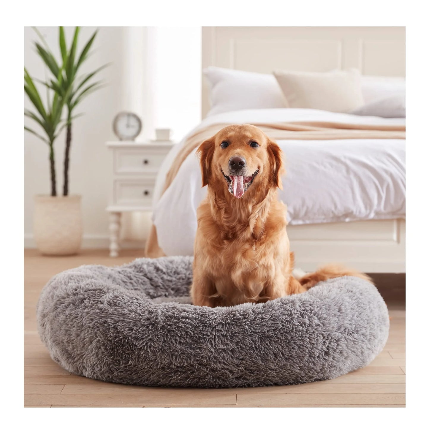 SnoopDoggyDog's Donut Bed