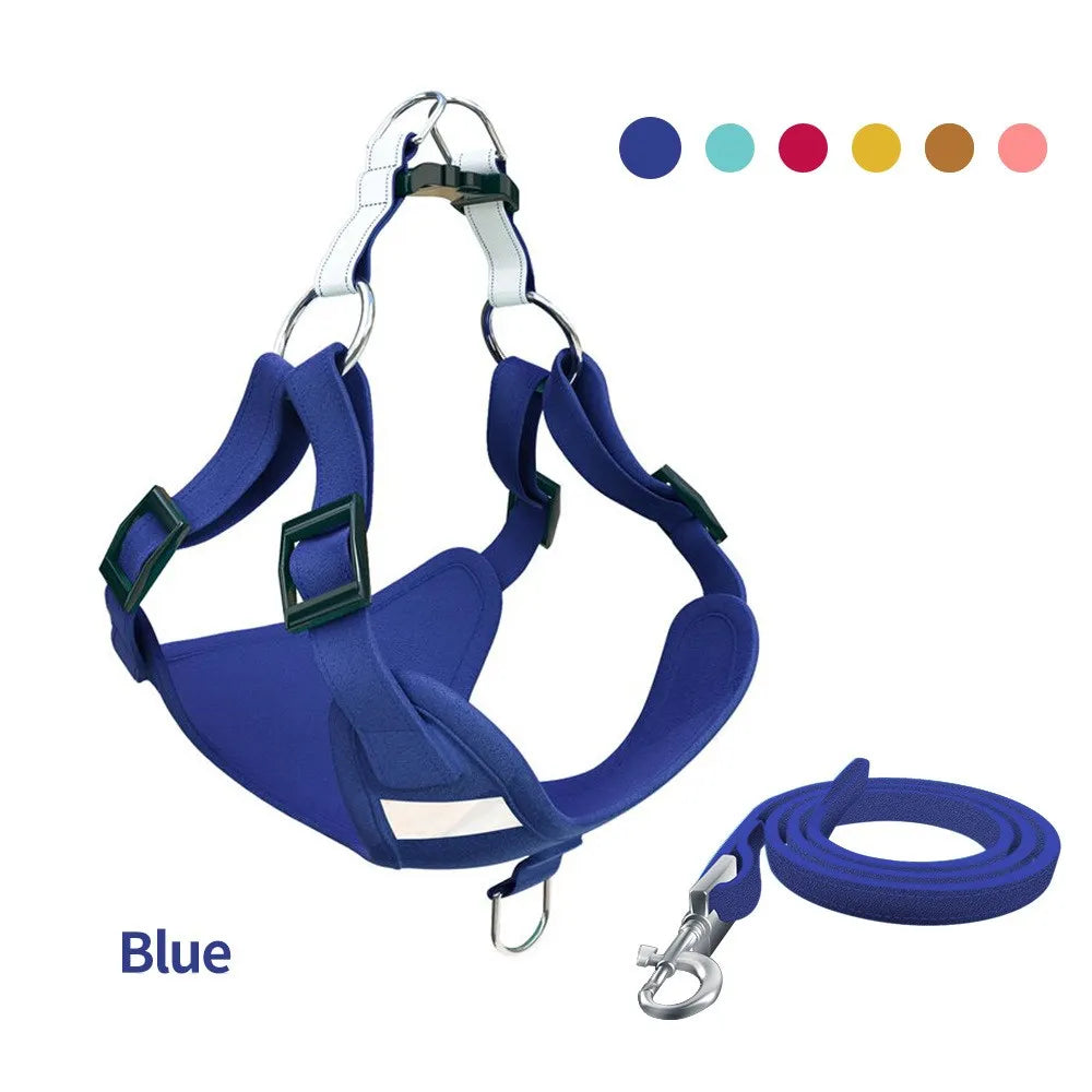 SnoopDoggyDog's Color Harness