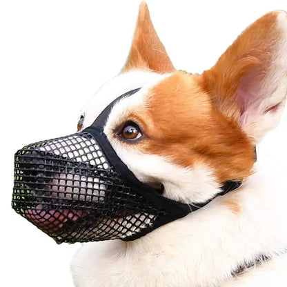 SnoopDoggyDog's Breathable Nylon Muzzle