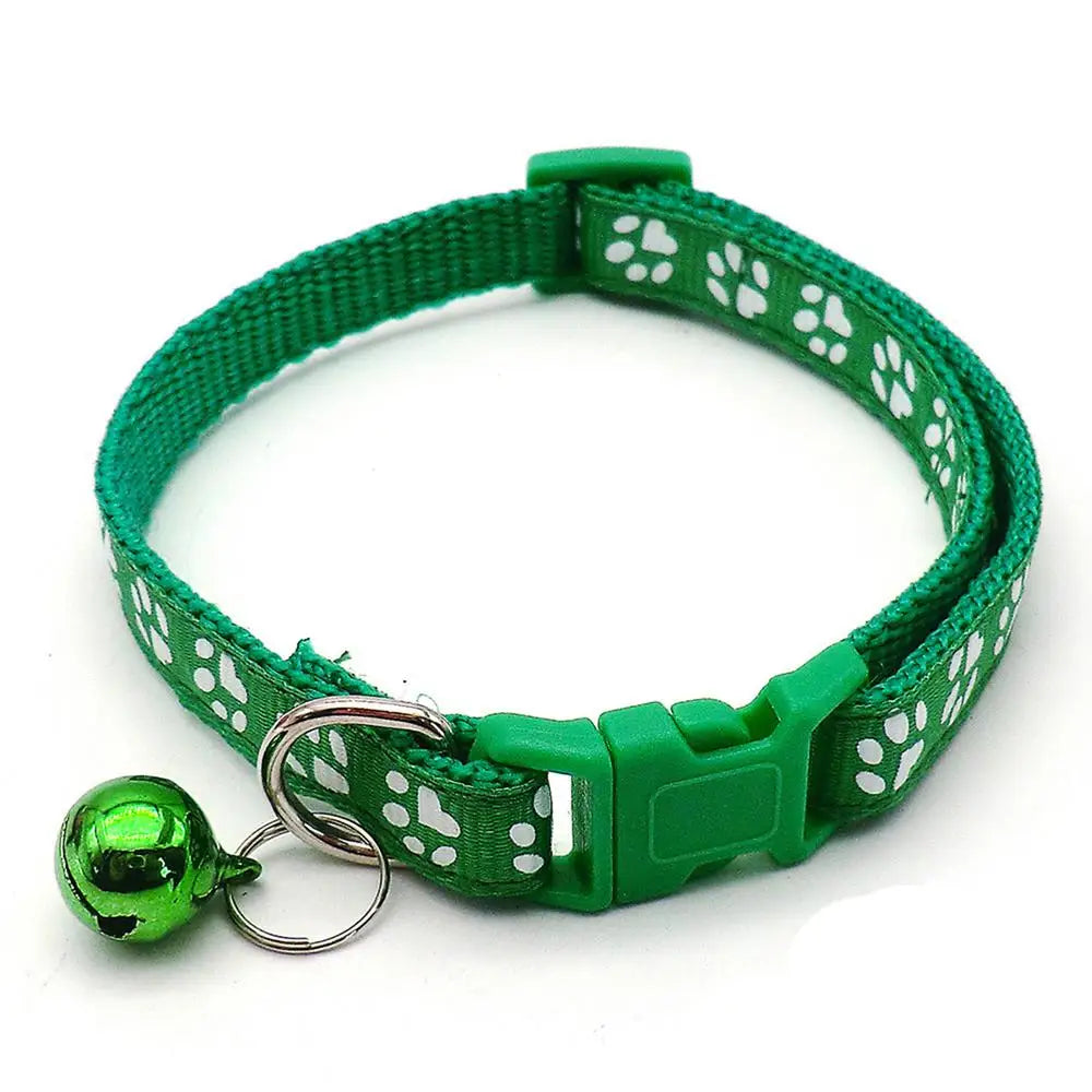 SnoopDoggyDog's Color Collar