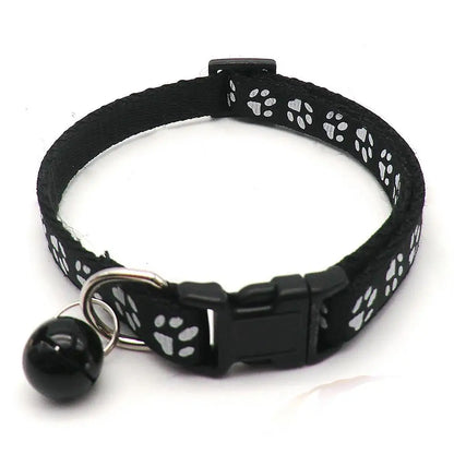 SnoopDoggyDog's Color Collar