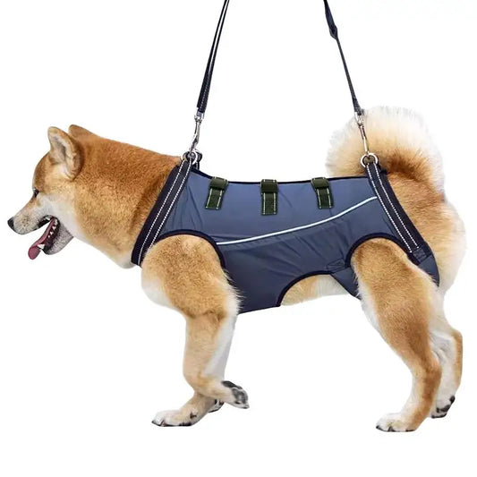 SnoopDoggyDog's Lift Harness