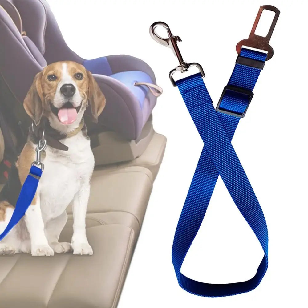 SnoopDoggyDog's Safety Seat Belt