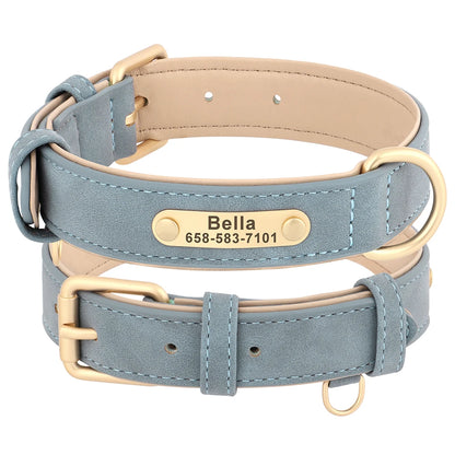 SnoopDoggyDog's Personalized Collar