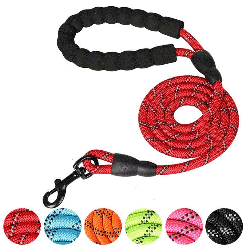 SnoopDoggyDog's Reflective Strong Dog Leash