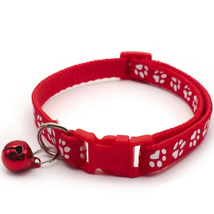 SnoopDoggyDog's Color Collar