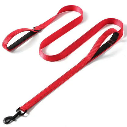 SnoopDoggyDog's Heavy Duty Reflective Dog Leash with Padded Double Handle