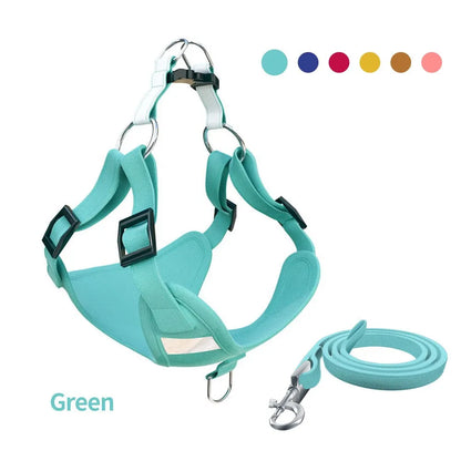 SnoopDoggyDog's Color Harness